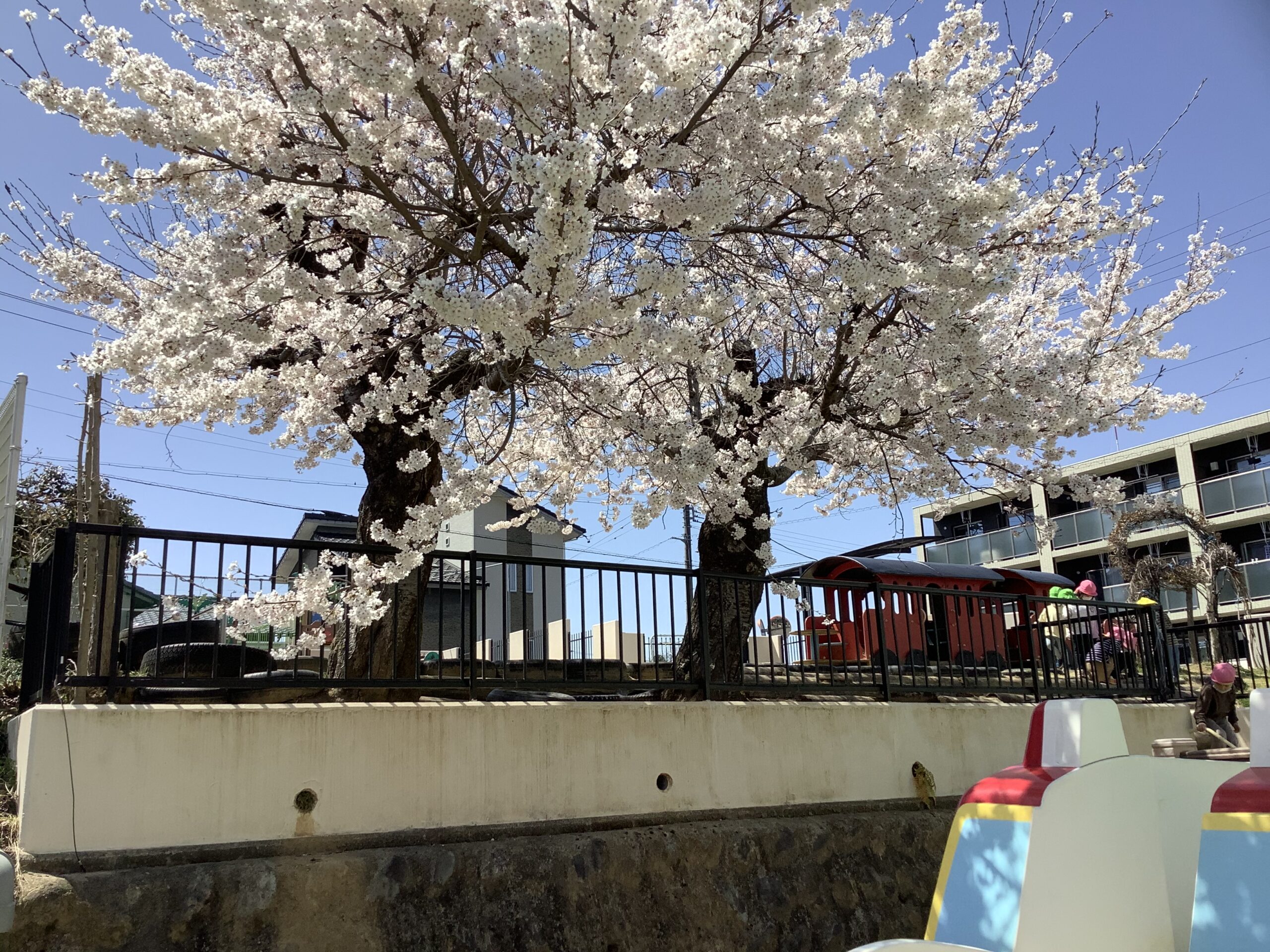 ☆明日から幼稚園が始まります☆