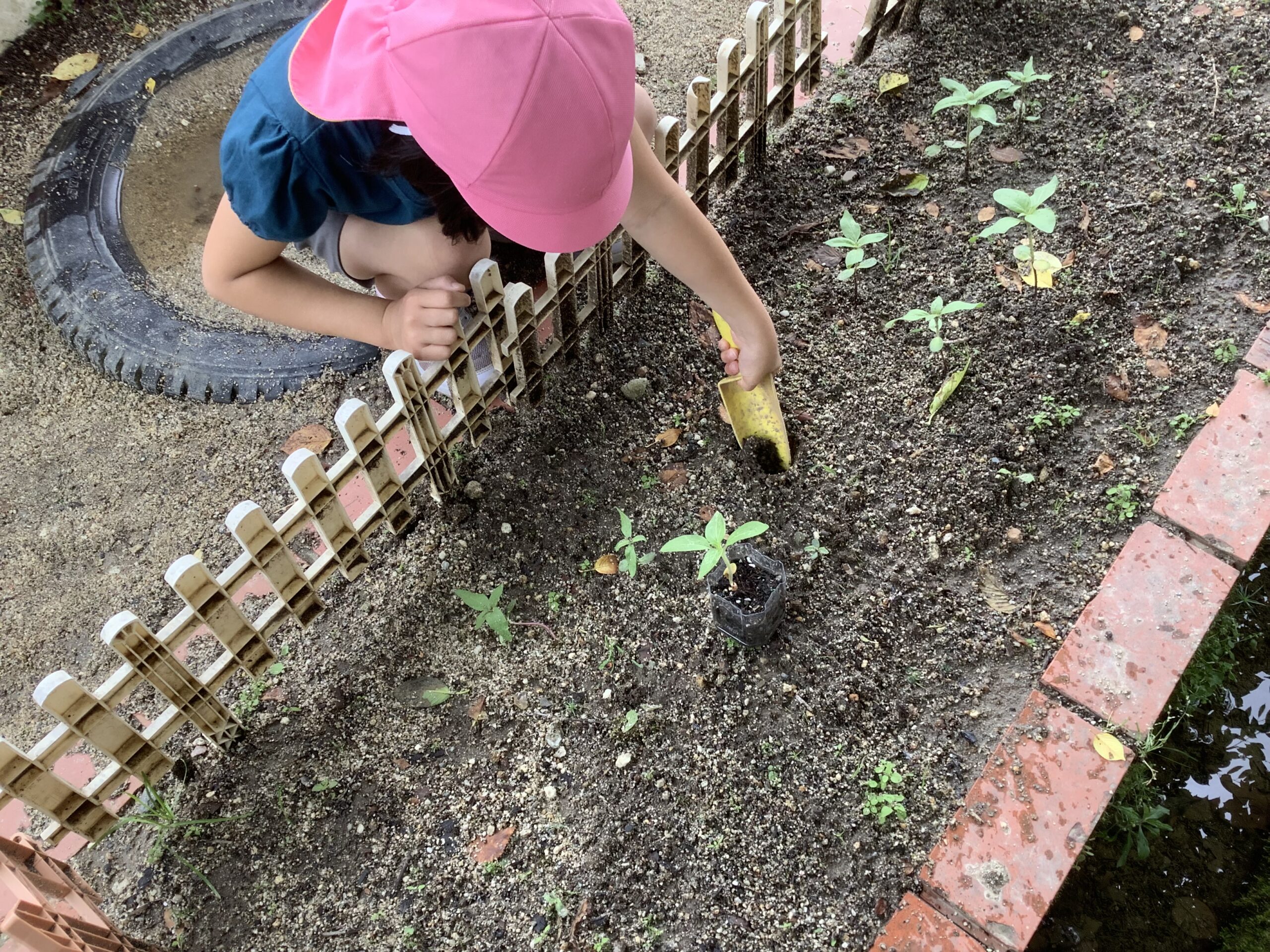 西小学校からのおくりもの☆彡