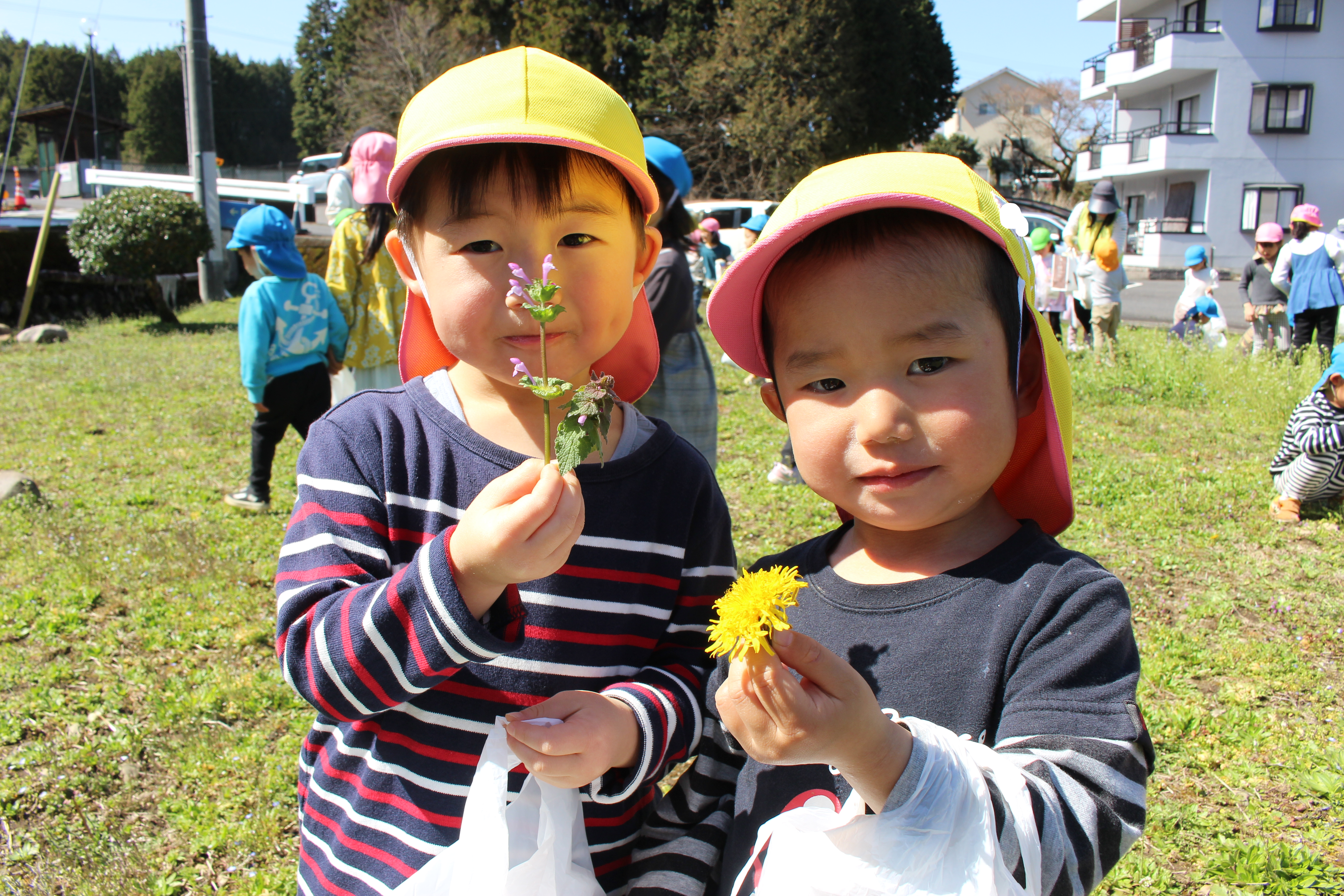 お散歩に行ってきました！