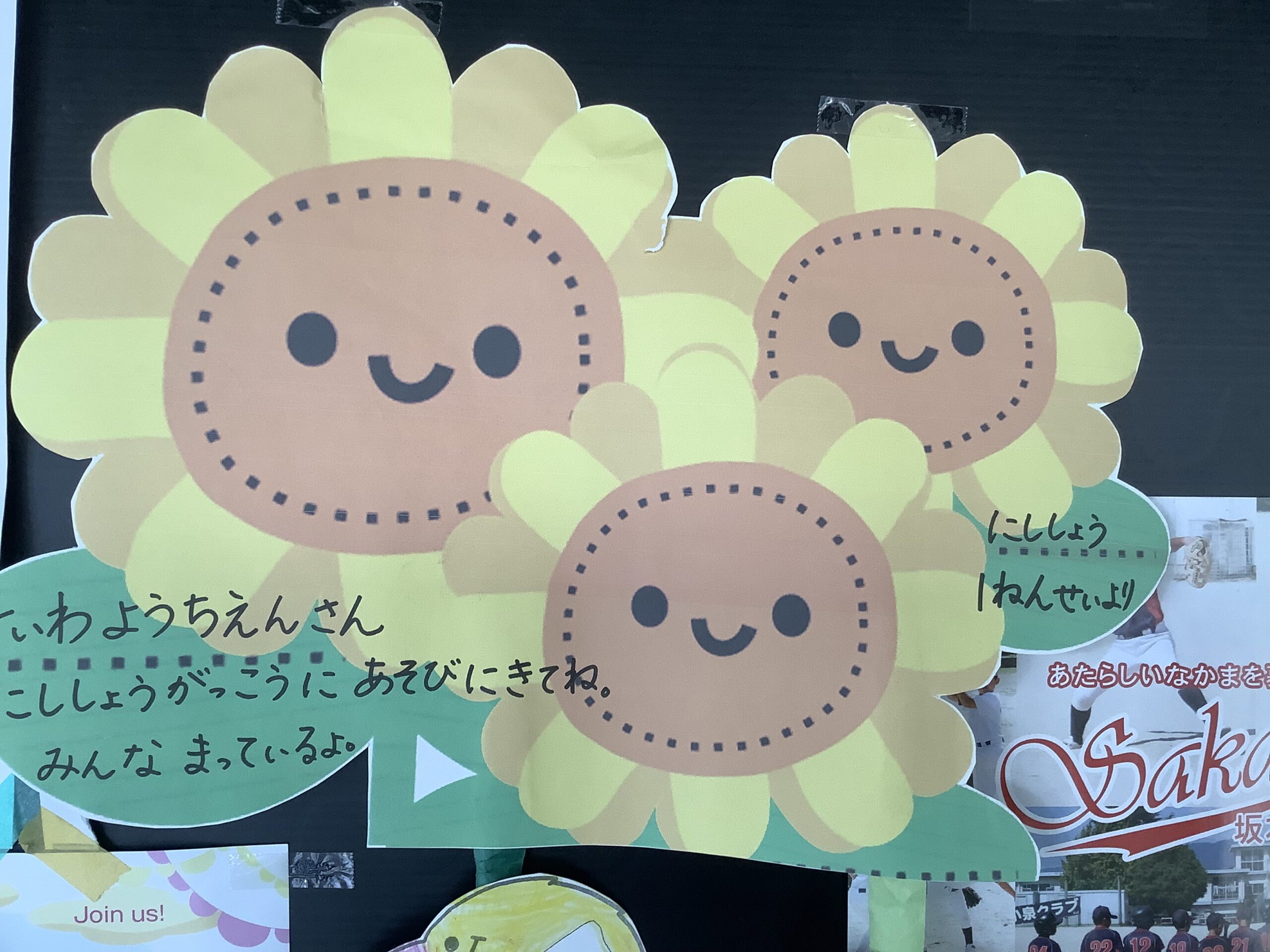 ひまわりが届きました！