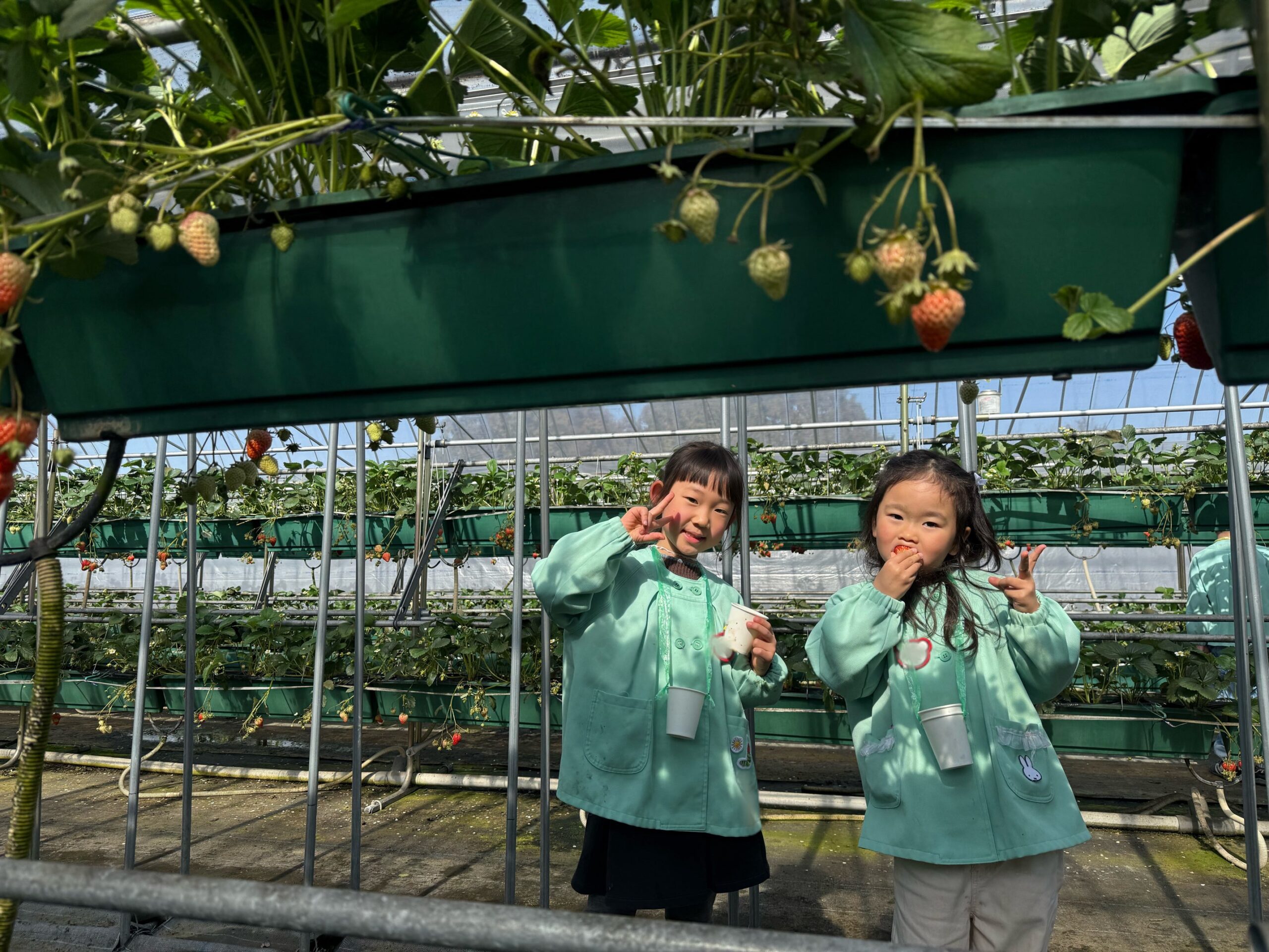 お別れ遠足に行ってきました！