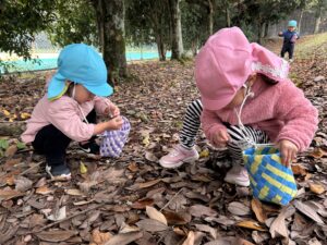 【未満児組】どんぐり拾いに行ってきました♪誠和幼稚園-幼保連携型こども園 - 粉砕技術業界No1プロフェッショナル