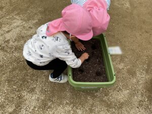 お花の種を植えたよ！誠和幼稚園-幼保連携型こども園 - 粉砕技術業界No1プロフェッショナル